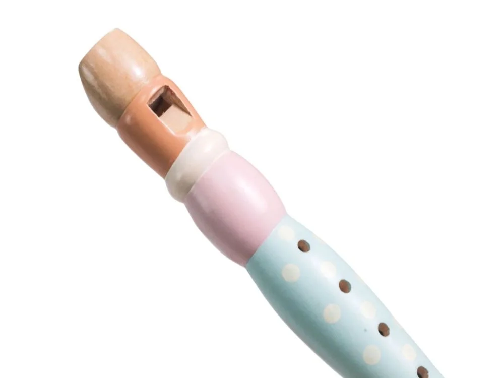 Muzikos instrumentų rinkinys mažyliui - Image 6