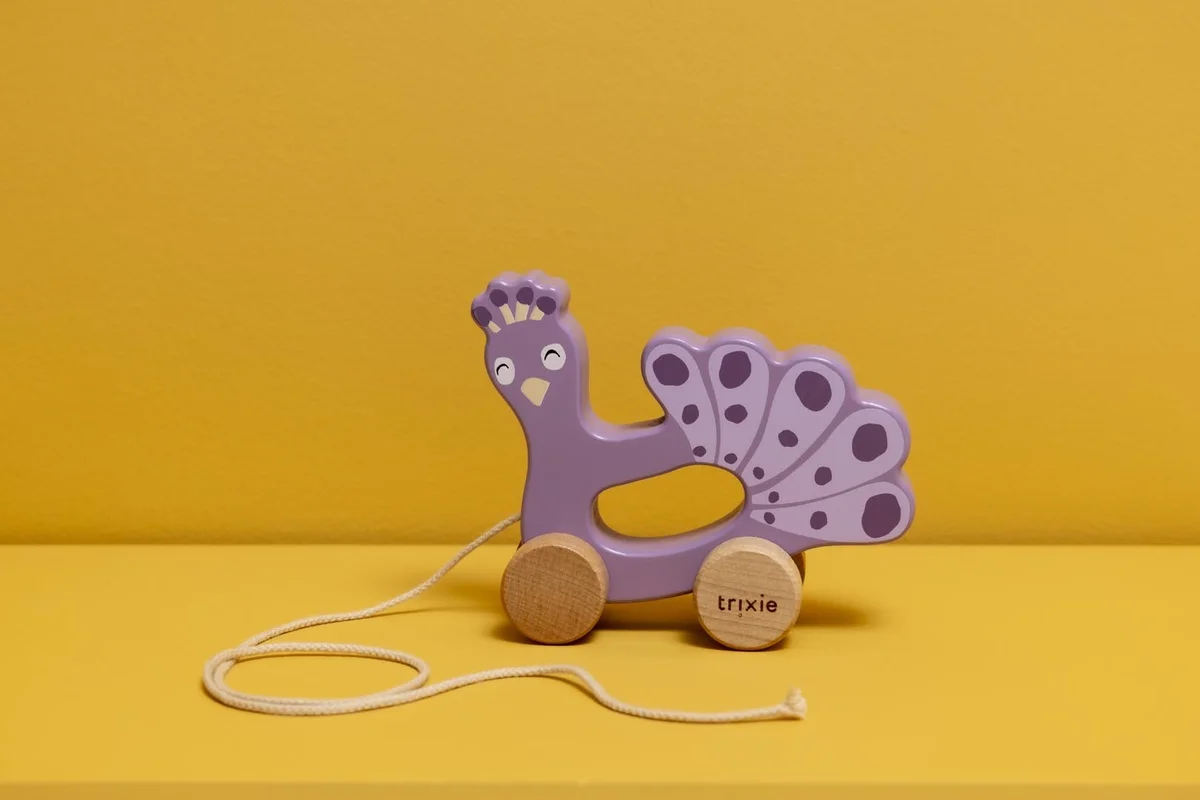 Traukiamas žaislas - Image 21